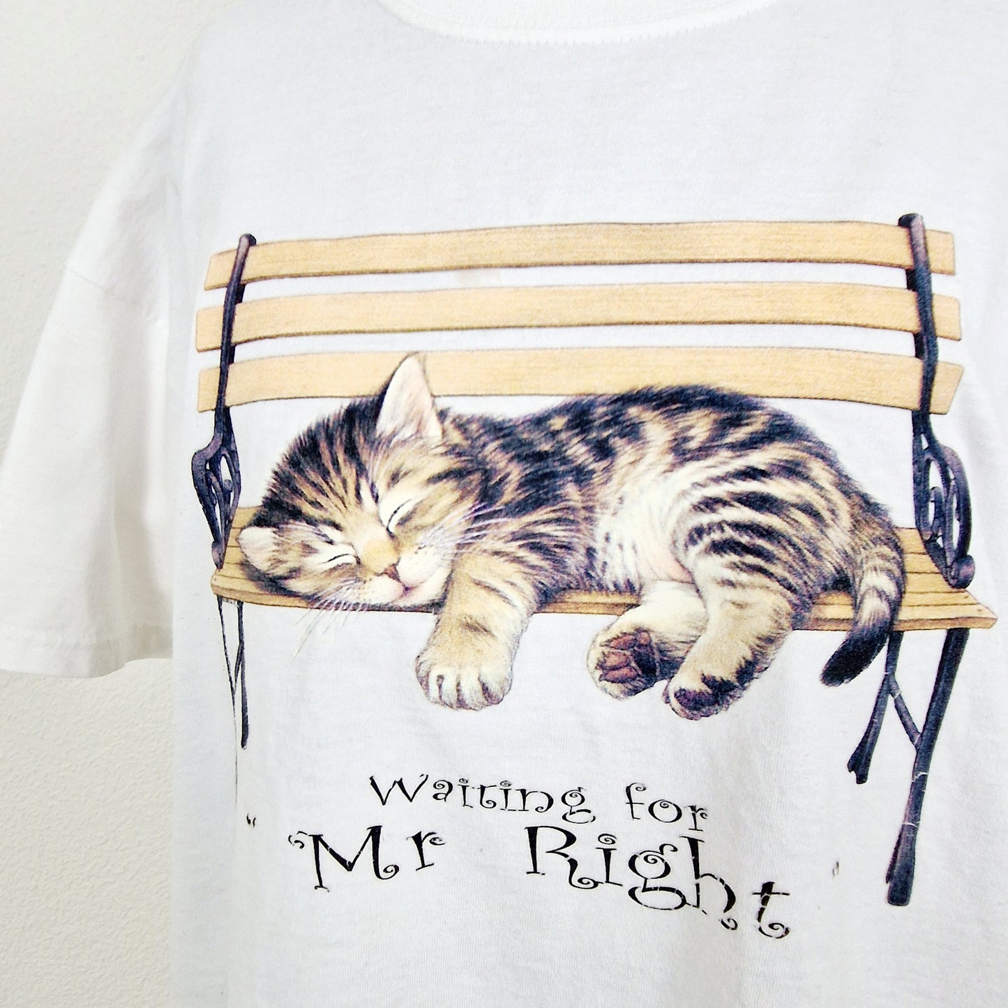Einzigartiges und nachhaltiges Vintage T-Shirt mit Katze. Unique and sustainable vintage t-shirt with cat. Close-up.