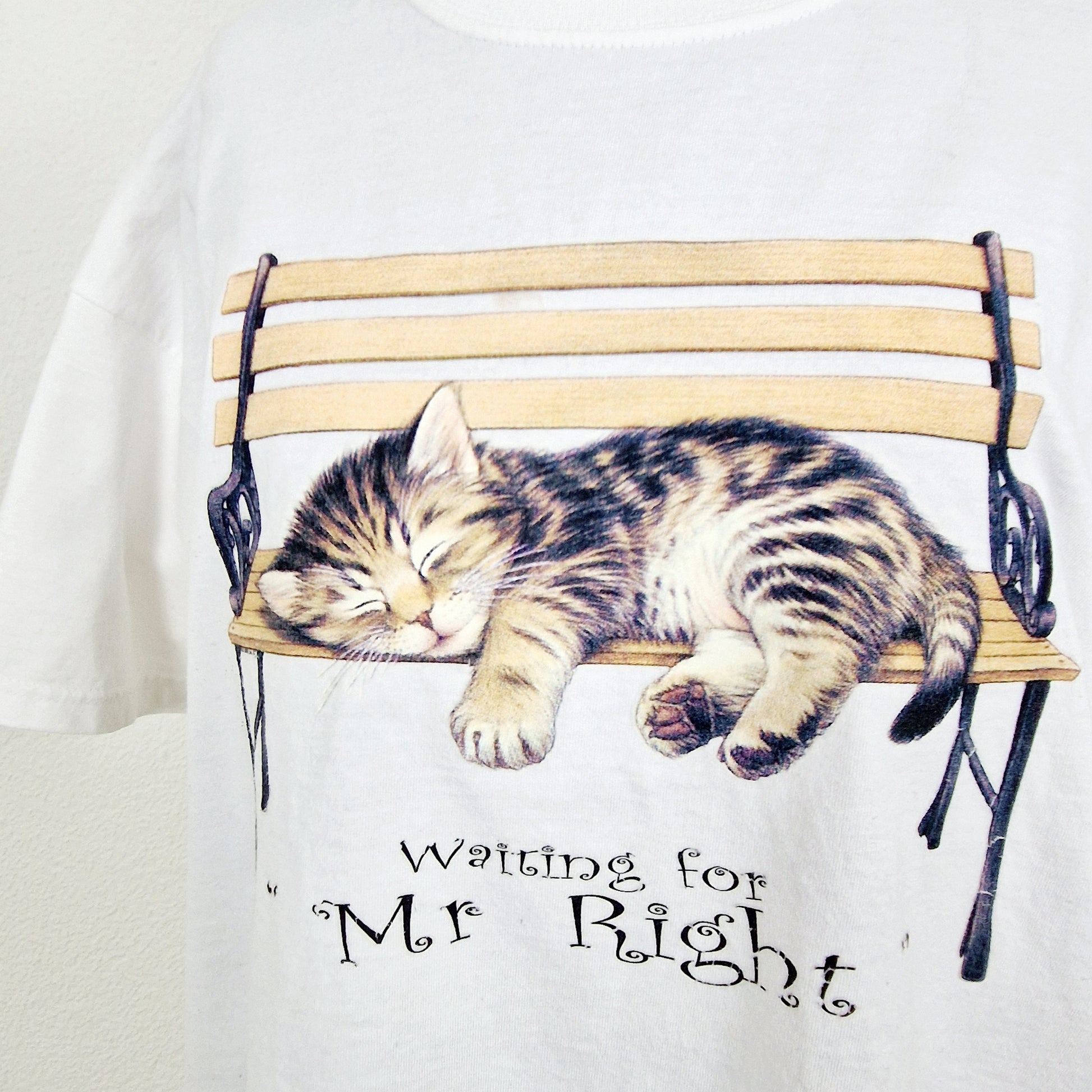 Einzigartiges und nachhaltiges Vintage T-Shirt mit Katze. Unique and sustainable vintage t-shirt with cat. Close-up.