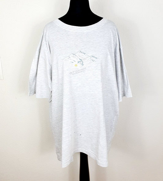 Einzigartiges und nachhaltiges Vintage T-Shirt mit Grindelwald. Unique and sustainable vintage t-shirt with grindelwald. Front.