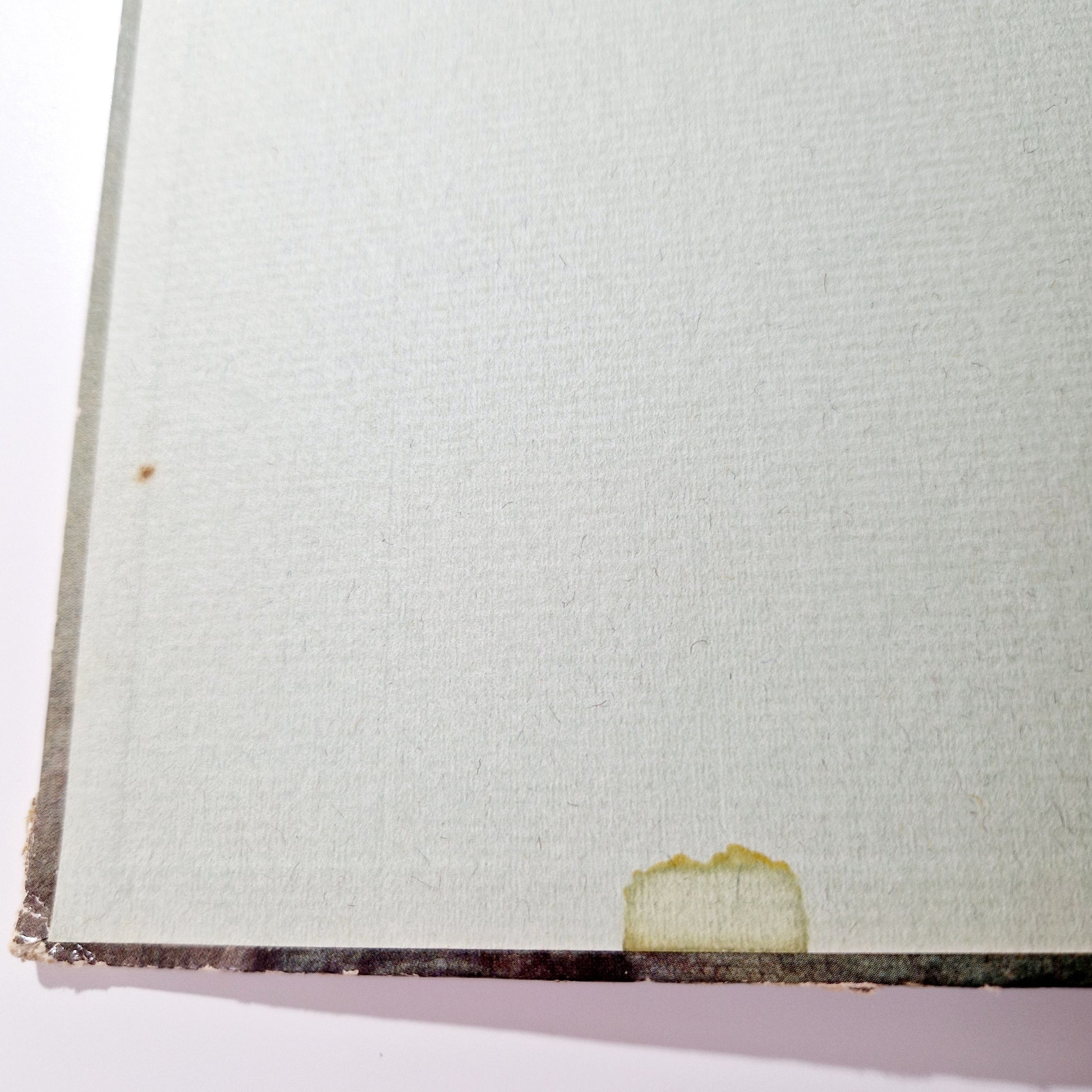 Einzigartiges und nachhaltiges Vintage Buch, Lustige Wilhem Busch Sammlung. Unique and sustainable vintage book, Lustige Wilhem Busch Sammlung. Flaw 2.