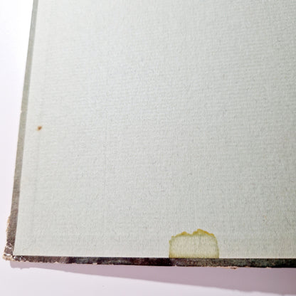 Einzigartiges und nachhaltiges Vintage Buch, Lustige Wilhem Busch Sammlung. Unique and sustainable vintage book, Lustige Wilhem Busch Sammlung. Flaw 2.
