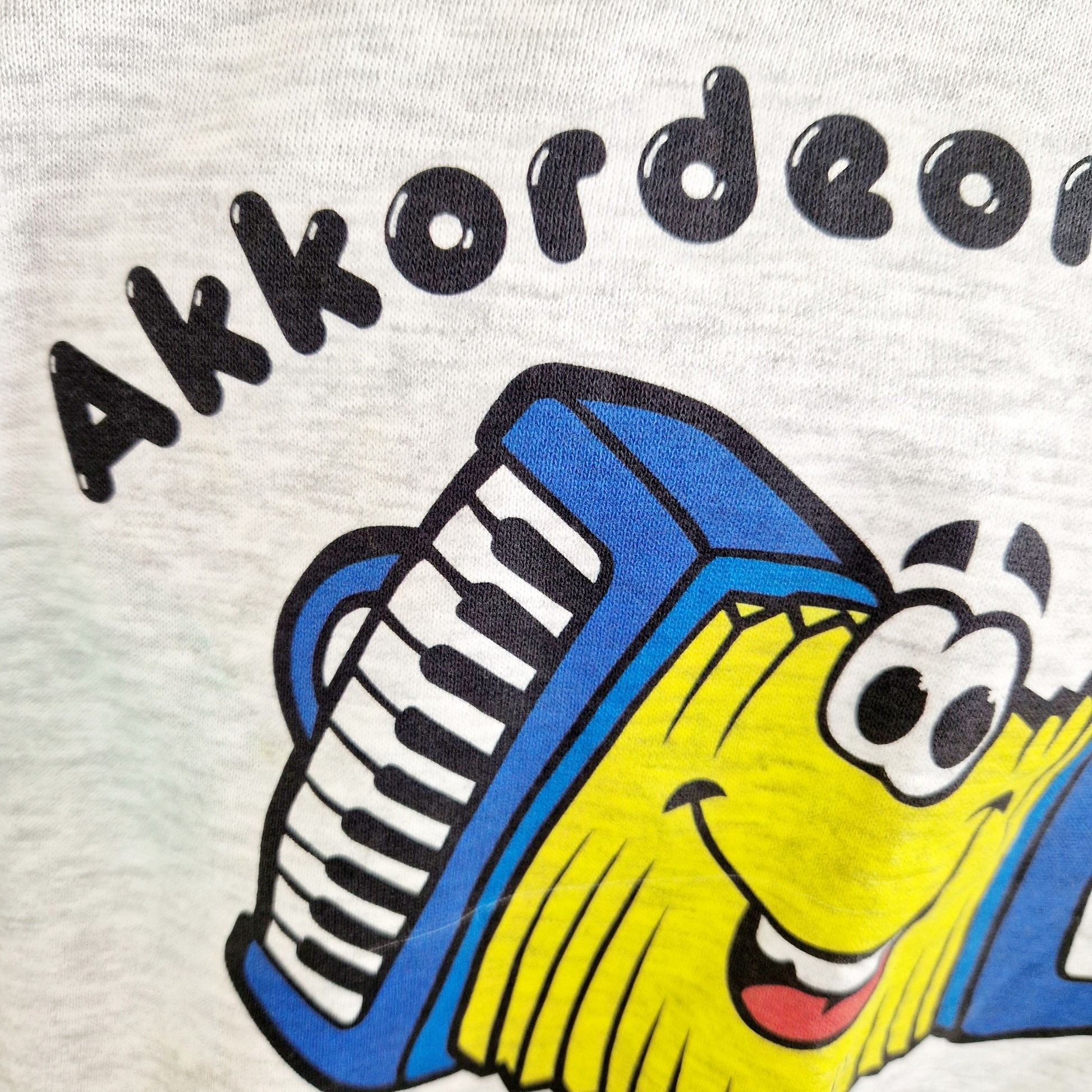 Einzigartiger und nachhaltiger Vintage Sweater mit Akordeon. Unique and sustainable vintage sweater with accordion. Close-up.