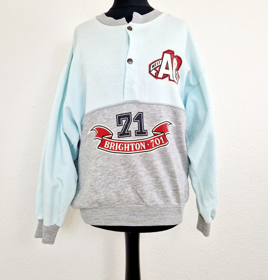 Einzigartiger und nachhaltiger Vintage Sweater in hellgrau-hellblau, Brighton. Unique and sustainable vintage sweater in light grey-light blue, Brighton. Front.